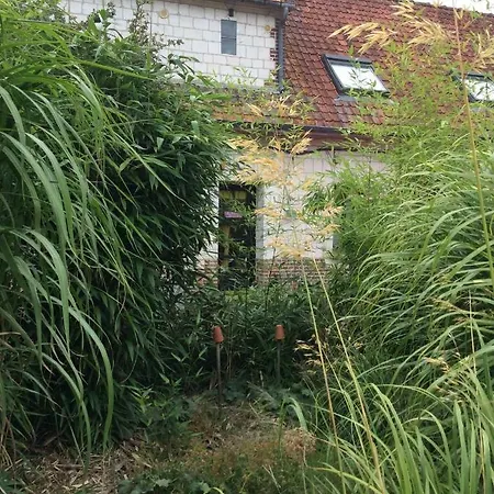 Vakantiehuis Le Clos Du Carpe Diem Cambligneul