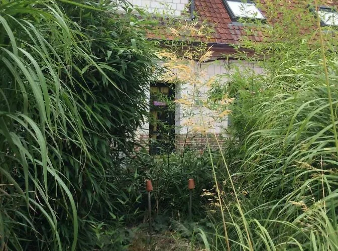 Prázdninový dům Le Clos Du Carpe Diem Cambligneul