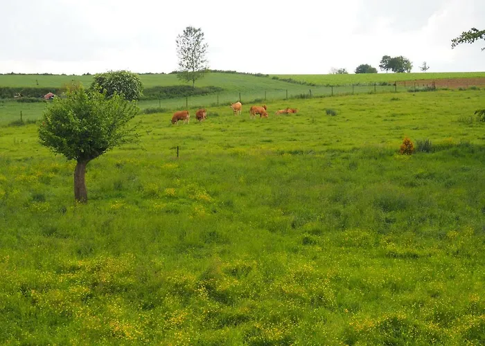 Prázdninový dům Le Clos Du Carpe Diem